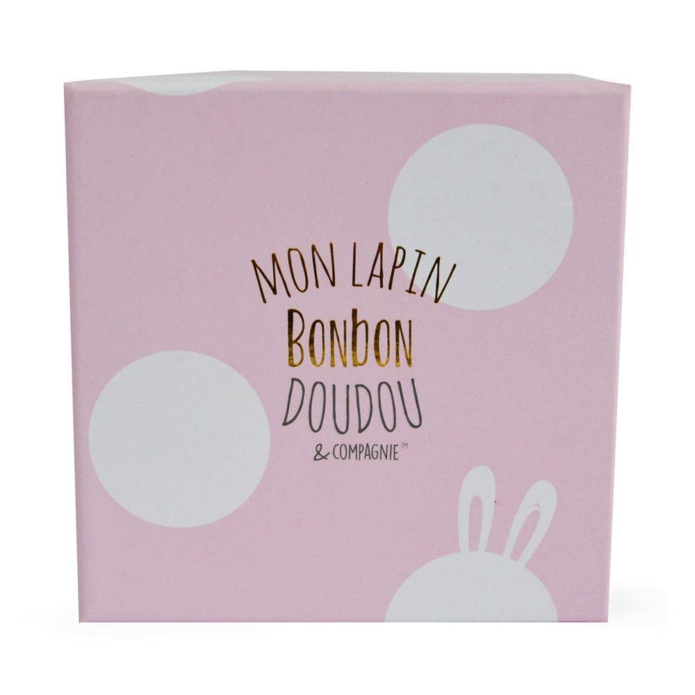 Pink Plush Bunny In Box