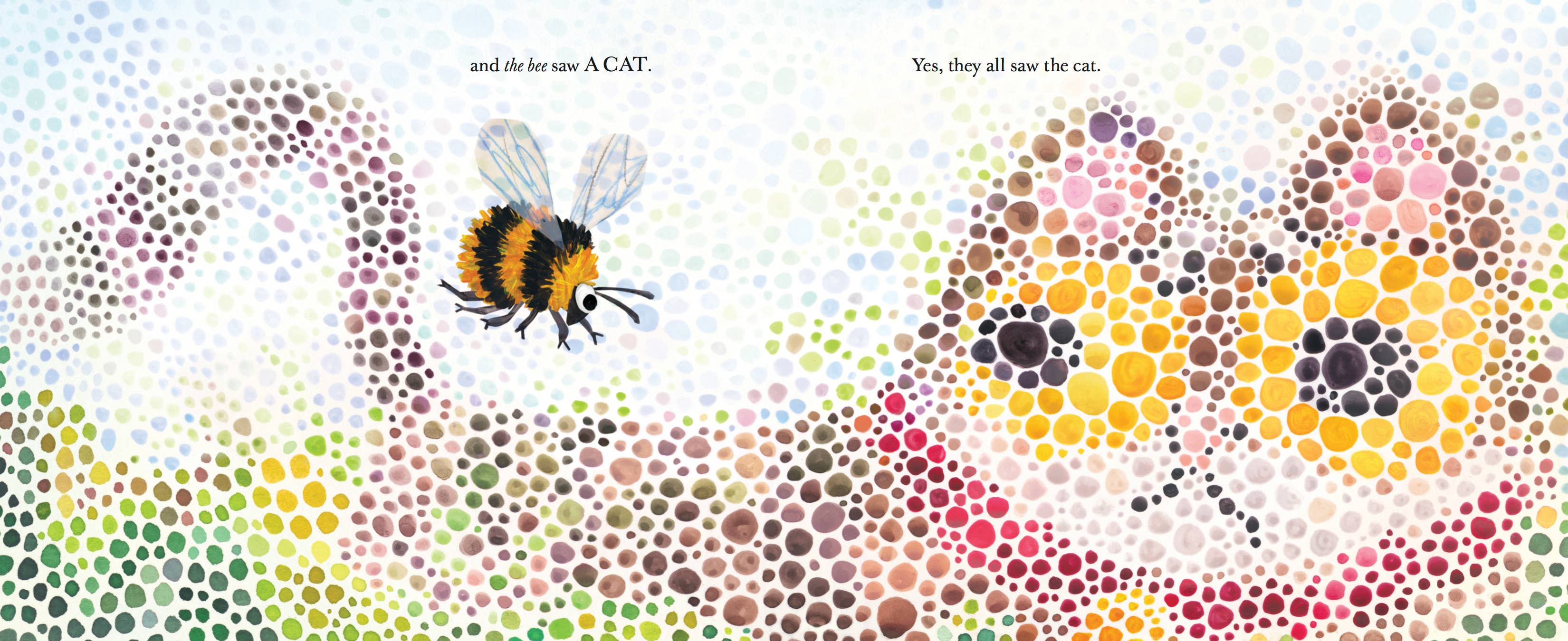 They All Saw a Cat