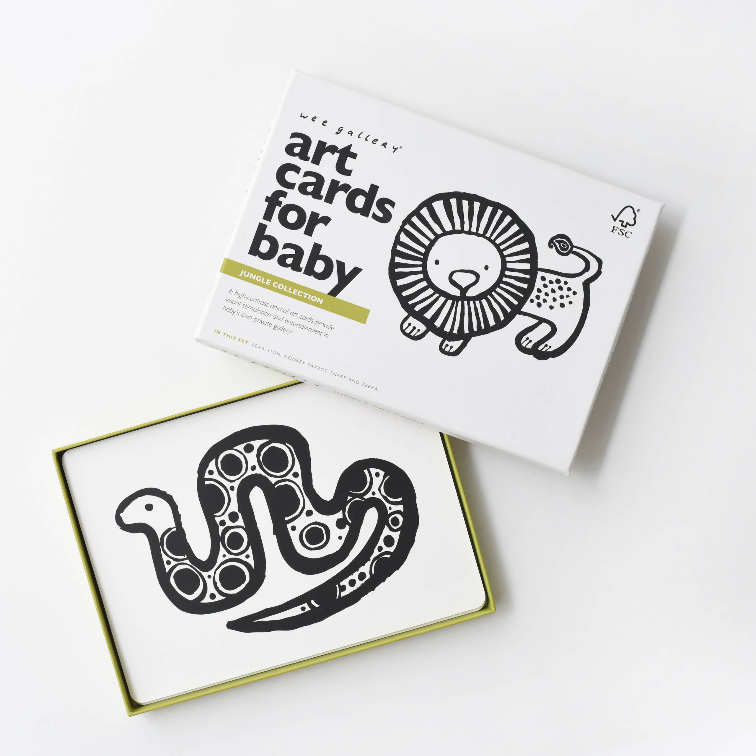 Art Cards for Baby - Jungle Animals - Infant Flash Cards
