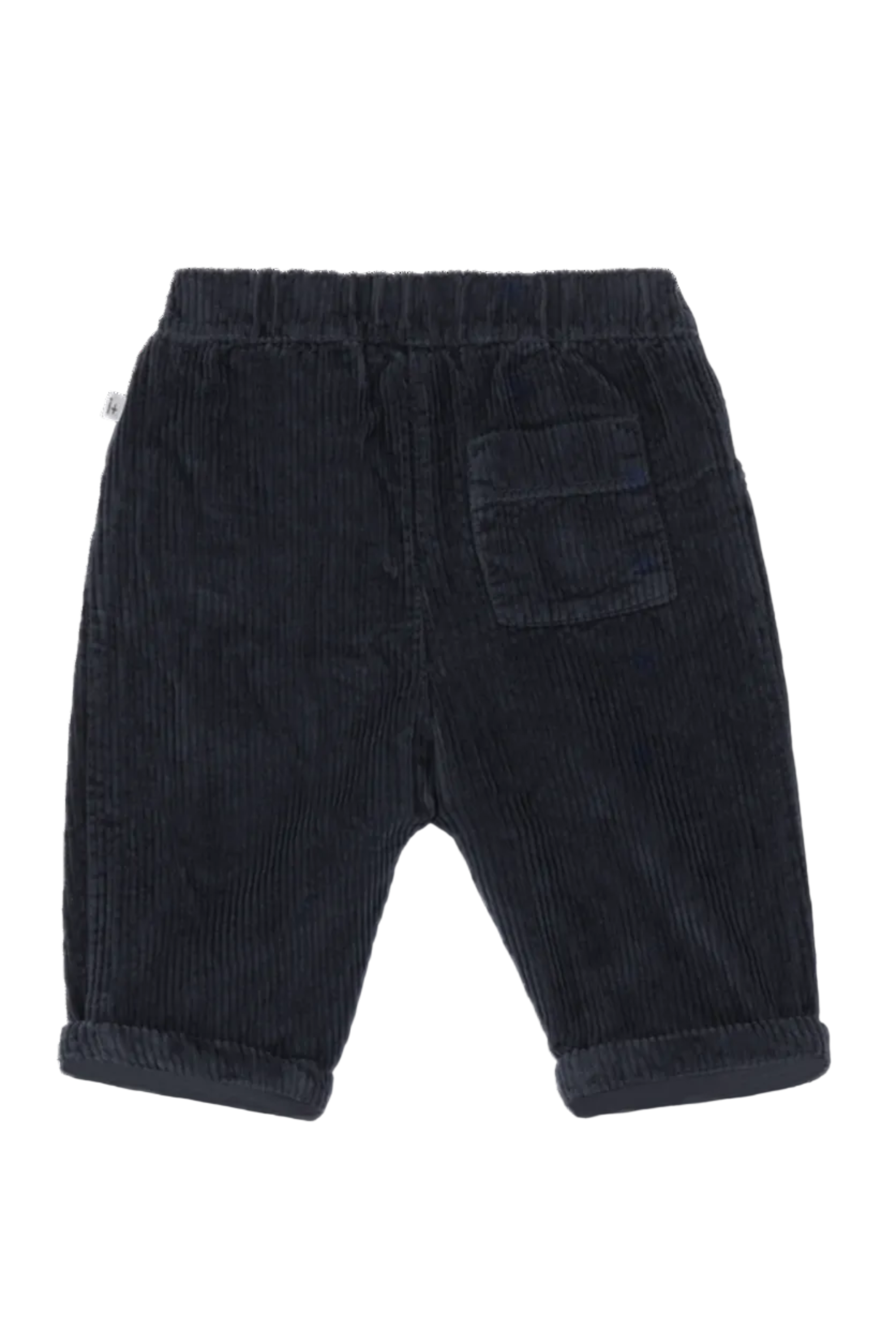 Dark navy blue corduroy pants for toddlers, shown from the back with an elastic waistband, a back pocket, and rolled cuffs, photographed on a white background.