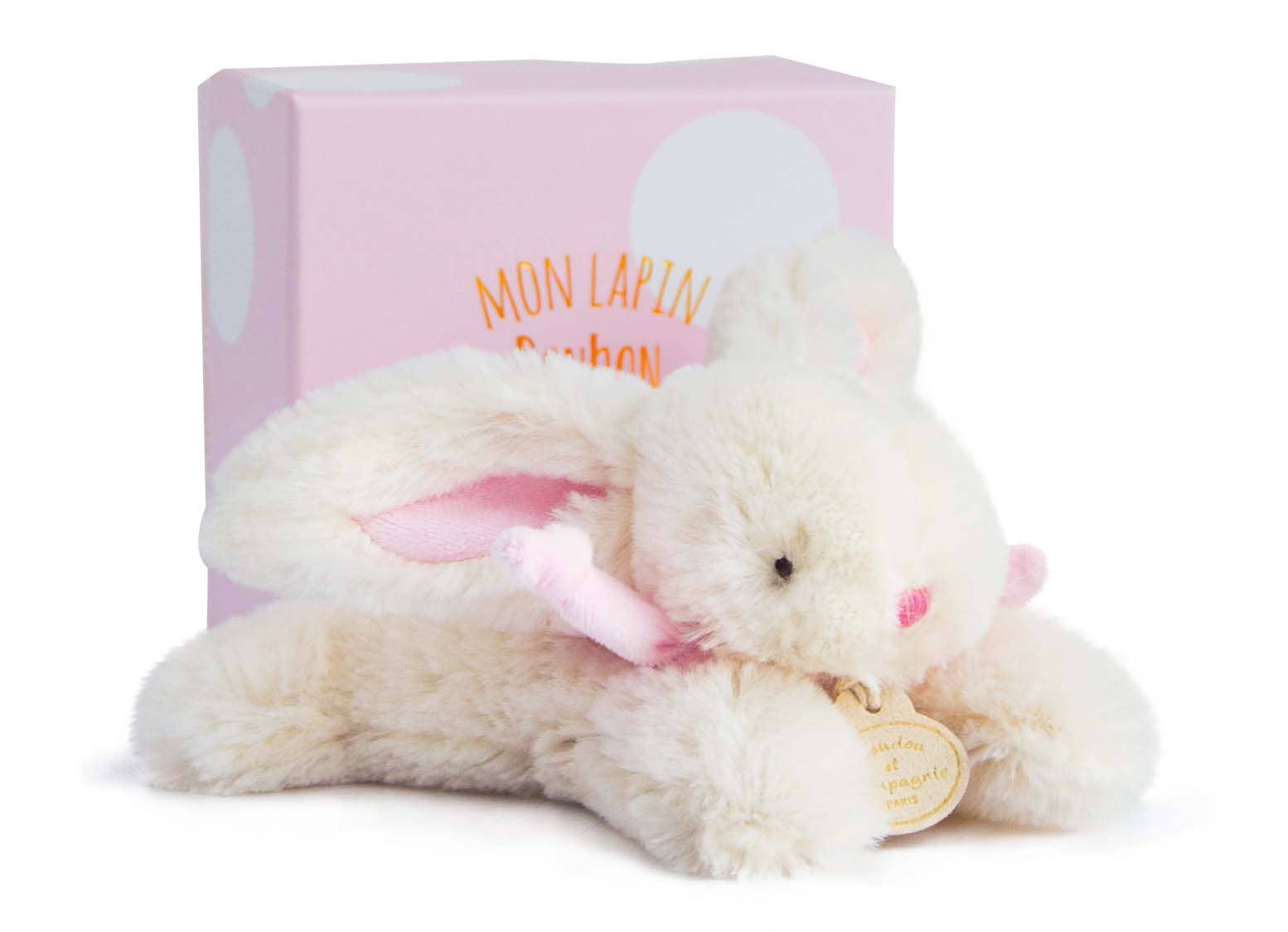 Pink Plush Bunny In Box