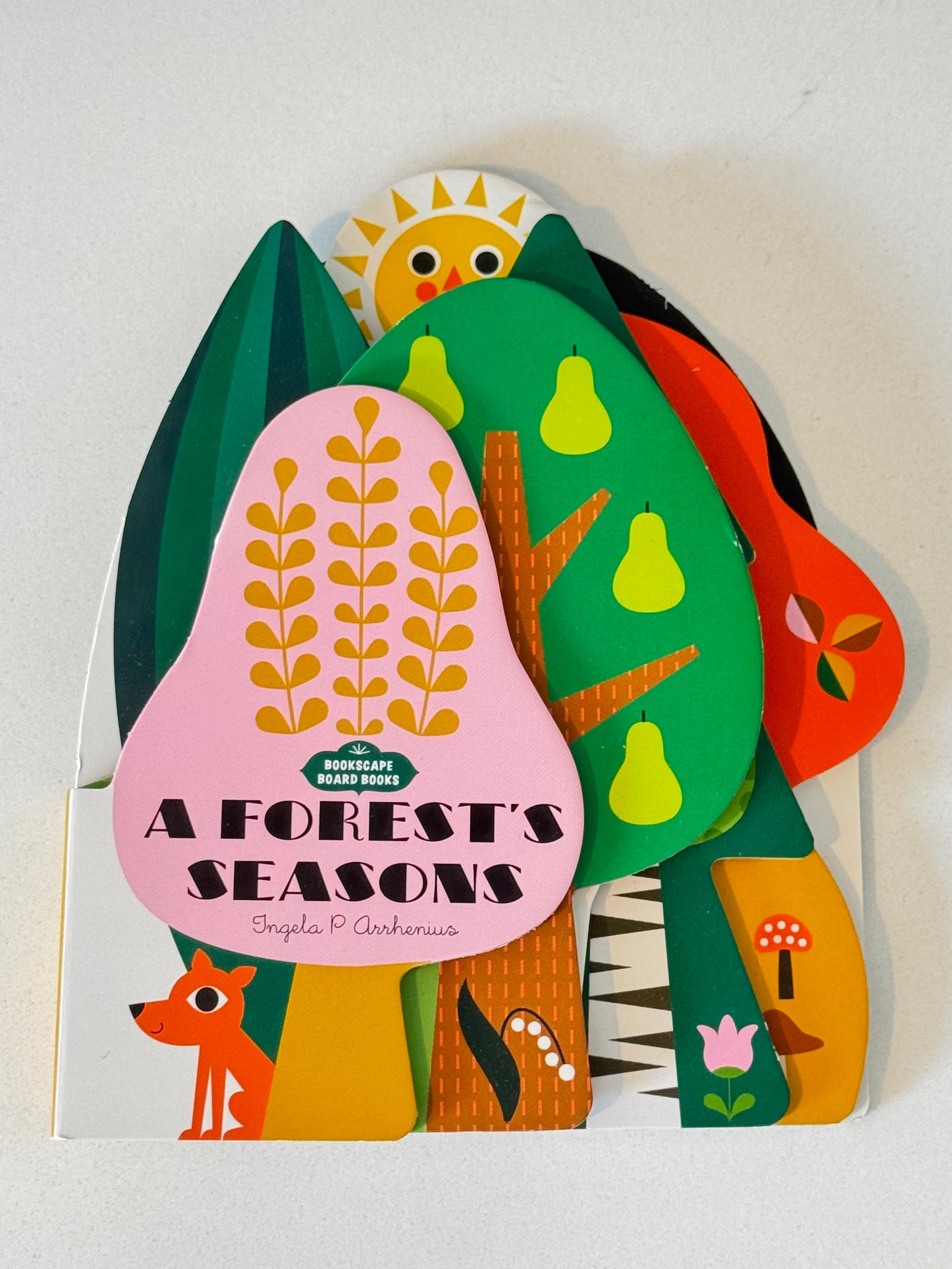 A Forest’s Seasons