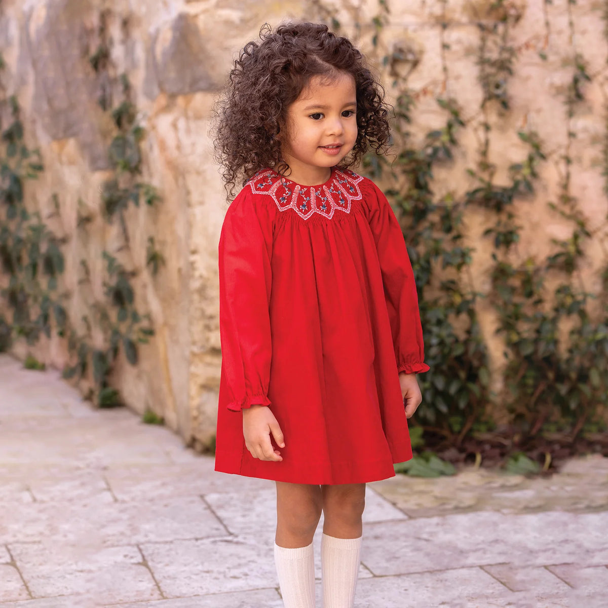 Embroidered Cotton Dress