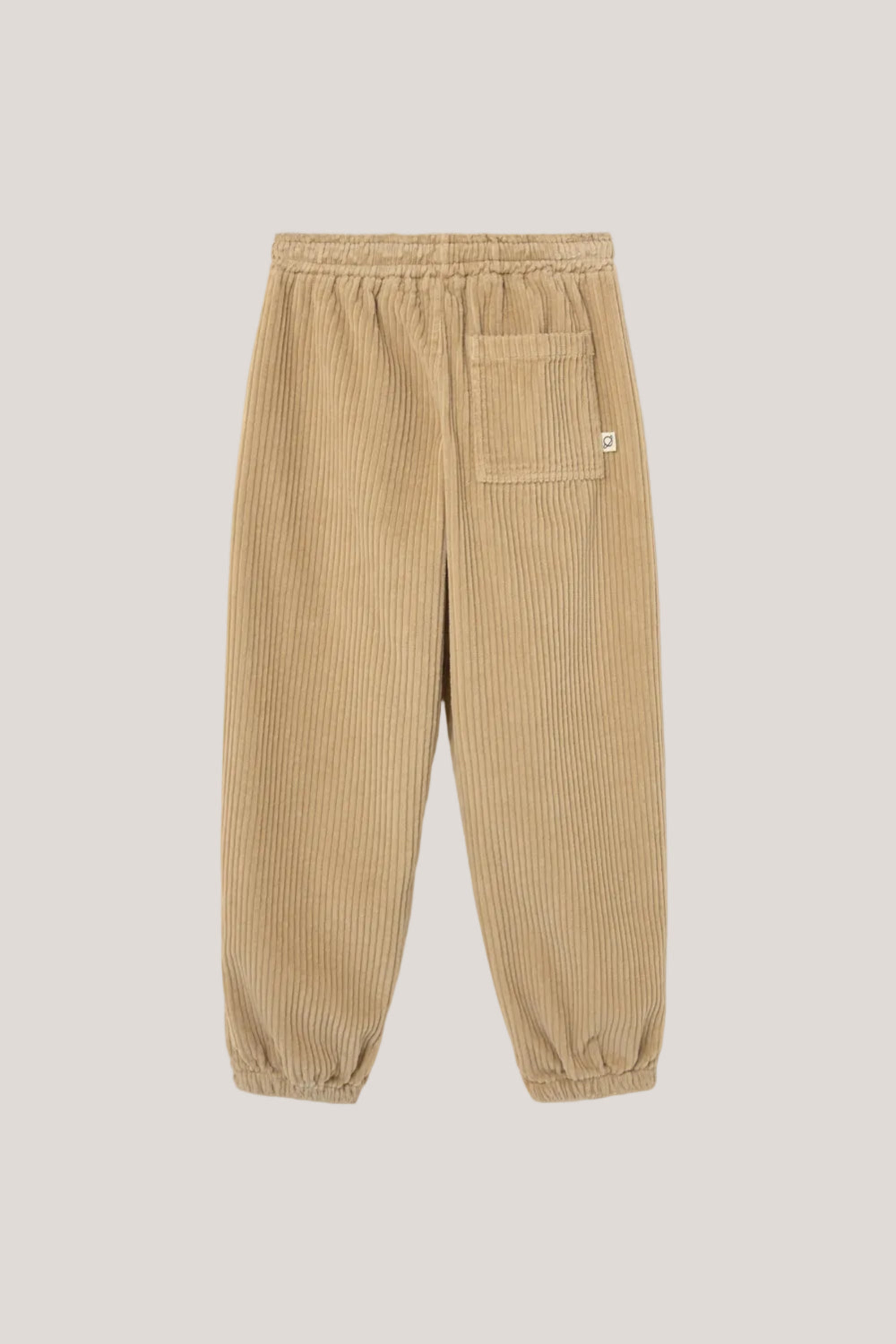 Beige corduroy pants on a white background