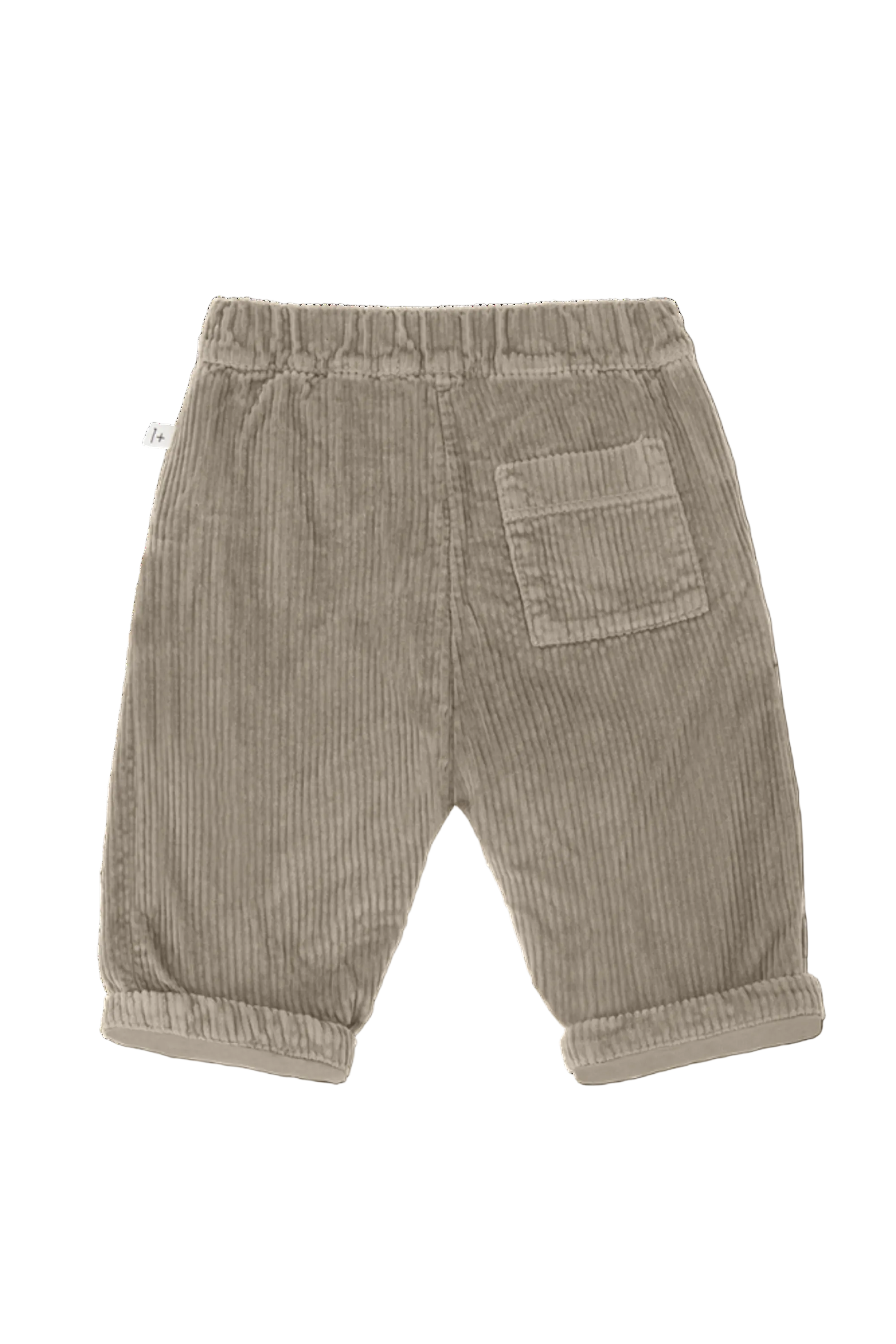 Beige corduroy pants on a white background