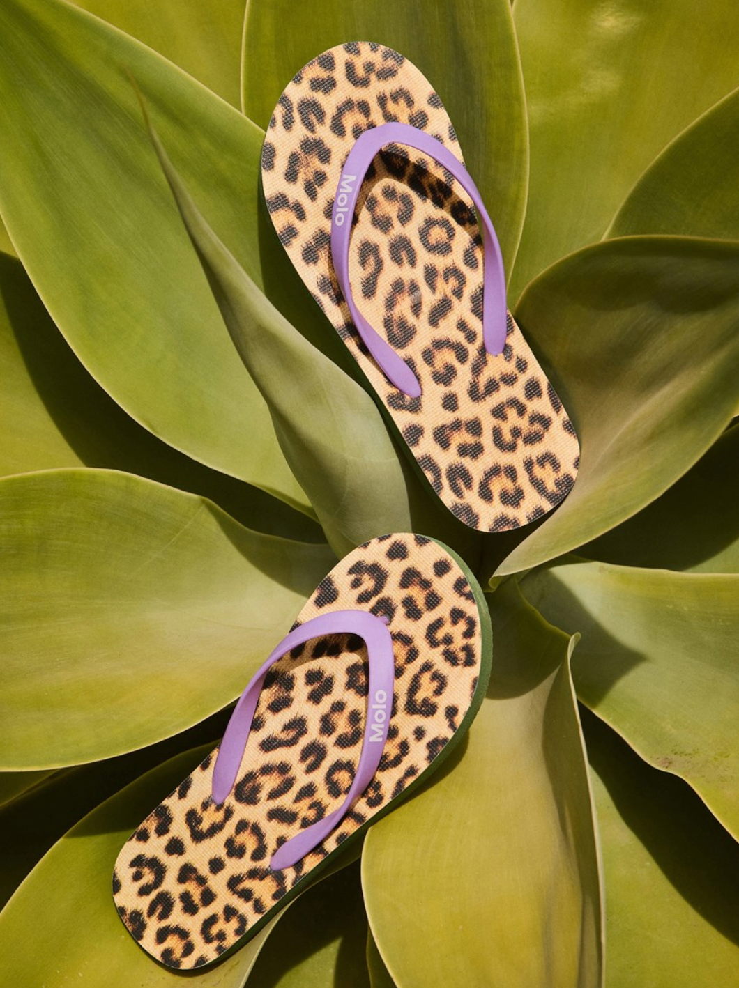 Molo Zeppo Flip Flops