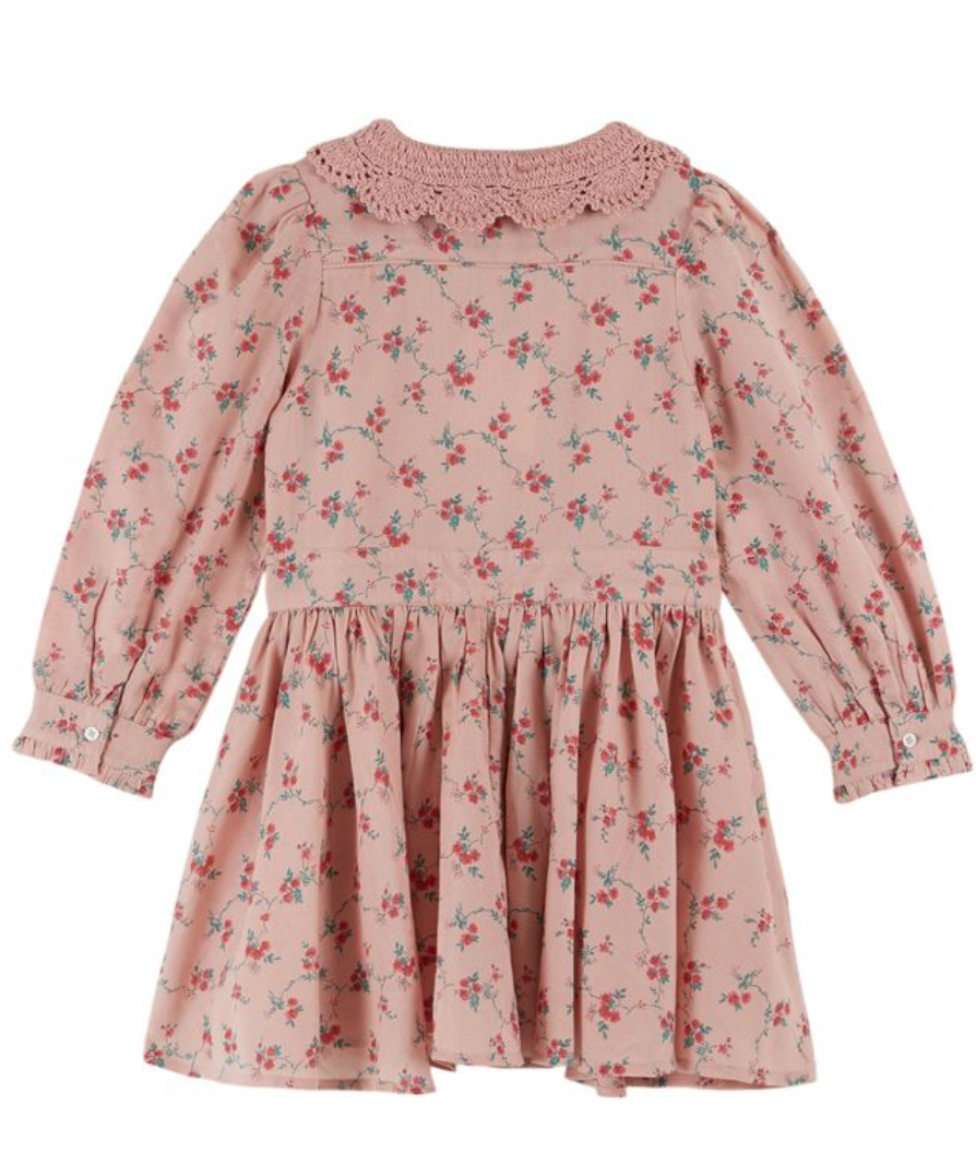 Emile Et Ida Robe Aster